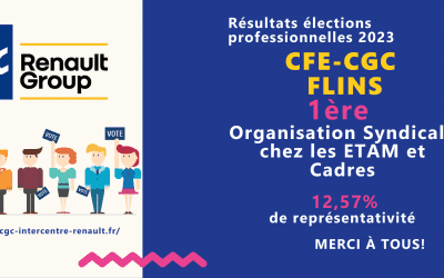 RESULTATS ELECTIONS PROFESSIONNELLES FLINS